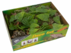 Lucky Reptile Deco Set Jungle