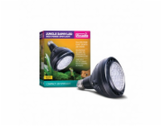 Arcadia Jungle Dawn LED 40W