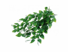 Lucky Reptile Jungle Plants Philo cca 50 cm
