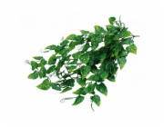 Lucky Reptile Jungle Plants Philo cca 50 cm