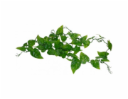 Lucky Reptile Jungle Vine Philo Vine cca 200 cm
