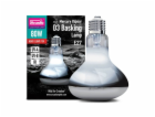Arcadia D3 Basking Lamp 80W