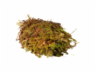 HabiStat Sphagnum Moss 1kg