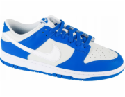 Nike Dunk Low FN3416-001 šedá 40
