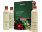 Aveda Aveda Invigorating Awe šampon na vlasy 250ml + kond...