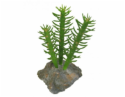 Lucky Reptile-Sukulenty Cactus 3x, cca 15 cm