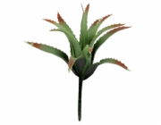 Lucky Reptile-Sukulenty Tillandsia, cca 17 cm bez základny