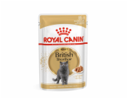 ROYAL CANIN British Shorthair Box 12x85g