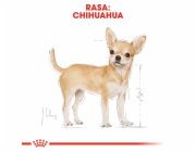 ROYAL CANIN Chihuahua - balení 12x85g
