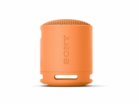 SONY SRS-XB100H