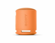 SONY SRS-XB100H