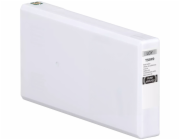 Epson T55W9 Light Gray Ink Cartridge