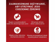 PURINA One Mini/Small Active Beef - vlhké krmivo pro psy - 85g