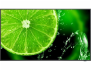 NEC MultiSync E328-2 - 32" Třída úhlopříčky E Series displej LCD s LED podsvícením - digital signage - 1080p 1920 x 1080 - HDR - Direct LED