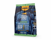 PRIMAL SPIRIT Iberian Sardine – polomokré krmivo pro psy – 1 kg