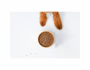 NATURE S PROTECTION Superior Care Red Coat Adult Small breed Grain free Salmon - suché krmivo pro psy - 10kg