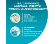 PURINA One Bifensis Sensitive Rich in turkey - suché krmivo pro kočky - 750g