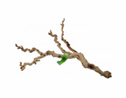 Lucky Reptile Grapevine Premium 80-100 cm