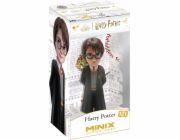 MINIX HARRY POTTER - HARRY POTTER
