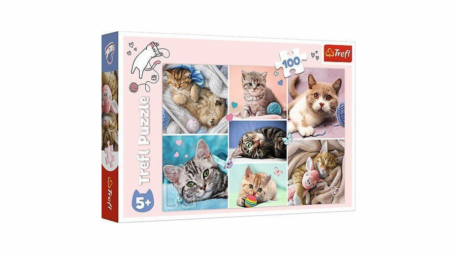 Trefl Puzzle 100 dílků V kočičím světě