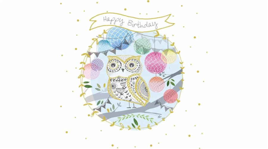 Muzea a galerie Čtvercová karta s obálkou Birthday Owl