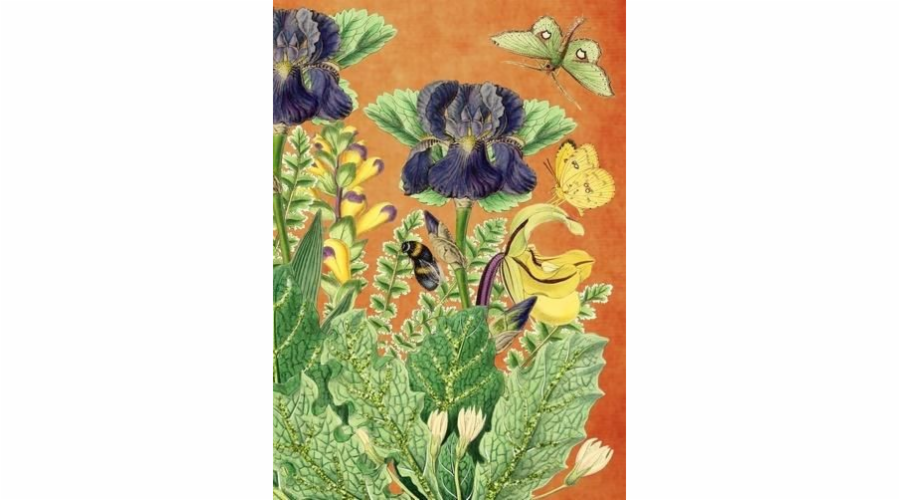 Třpytivá karta Madame Treacle B6 s obálkou Květiny v zahradě