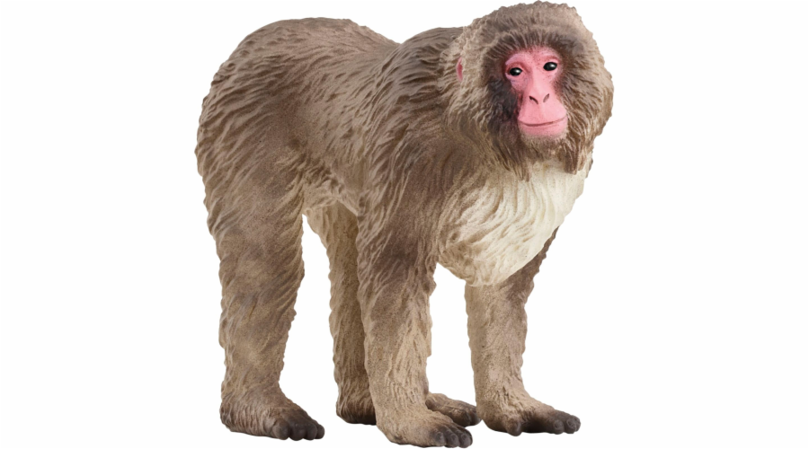 Schleich Wild Life Japonský makak, hračka