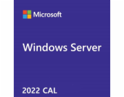MS 1x Windows Server CAL 2022 1pk DSP OEI 1 Clt User CAL (PL)