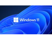 Microsoft OEM Win Pro pro Wrkstns 11 PL x64 HZV-00117 Nahrazuje: P / N HZV-00070