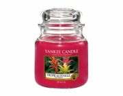 Svíčka ve skleněné dóze Yankee Candle, Tropická džungle, 410 g