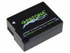 Patona Premium PT1196 - Panasonic DMW-BLC12 E  1000mAh Li...