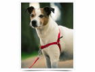 PetSafe® Postroj EasyWalk červený S