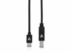 V7 2M USB2-B na kabelu USB-C Černá