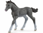 Schleich Horse Club     13944 Trakehner Foal