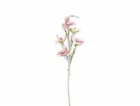Větvička magnolie růžovobílá, 100 cm
