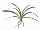 Orchidej listy, zelené, 45 cm