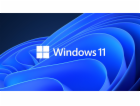 Microsoft OEM Win Pro pro Wrkstns 11 PL x64 HZV-00117 Nah...