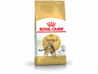 Royal Canin Bengal Adult cats dry food 