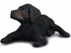 Figurka Collecta COLLECTA LABRADOR PUPPY
