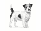 ROYAL CANIN Gastrointestinal Low Fat Small VHN - suché kr...