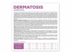 VET EXPERT Veterinary Diet Dermatosis Dog Lamb & Krill - ...
