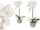 Ibergarden Umělá orchidej v cementovém květináči ORCHI, 5...