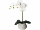 Atmosphera Květinová výzdoba "Cement touch" - orchidej s ...
