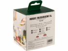 OTOTO Magic Mushroom XL Funnel