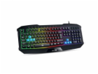 Klávesnice GENIUS K215 USB CZ+SK black + Copilot