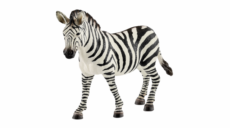 Schleich 14810 zebra samice