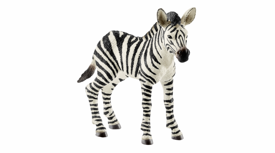Schleich Wild Life 14811 Zebra Foal