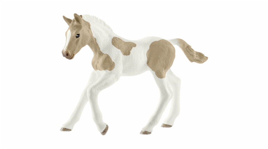 Schleich Horse Club 13886 Paint Horse Foal