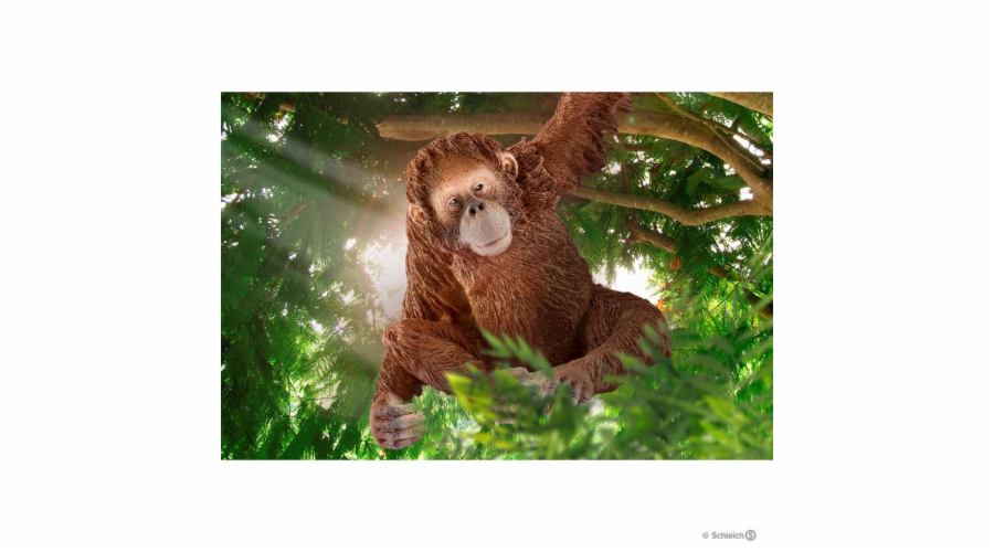Schleich 14775 Orangutan