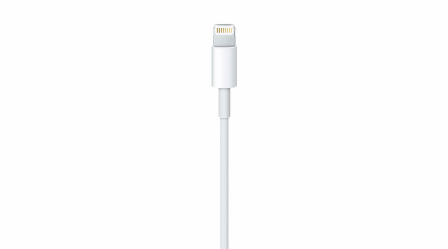 Apple Lightning auf USB Kabel (0.5m)